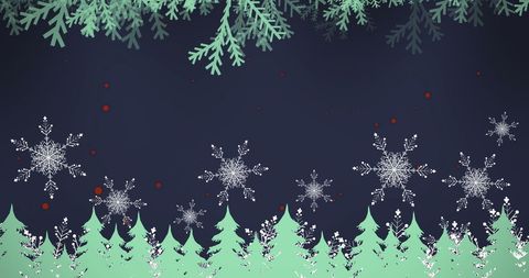 Fir Tree Branches with Snowflakes on Night Sky