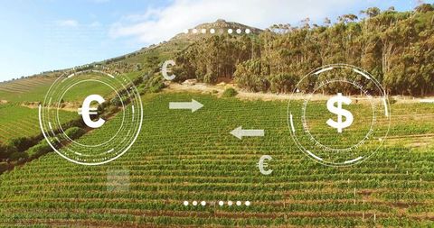 Vineyard landscape showing currency exchange hud linking euro and dollar for agribusiness investment