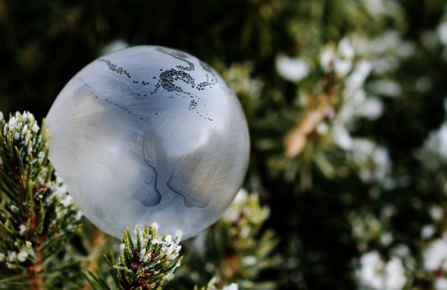Ball frozen frozen bubble soap bubble - Download Free Stock Photos Pikwizard.com