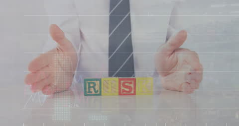 Business Strategy and Risk Assessment Visualization