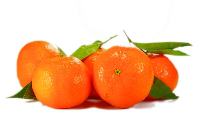 Leaves oranges fruit citrus fruit - Download Free Stock Photos Pikwizard.com