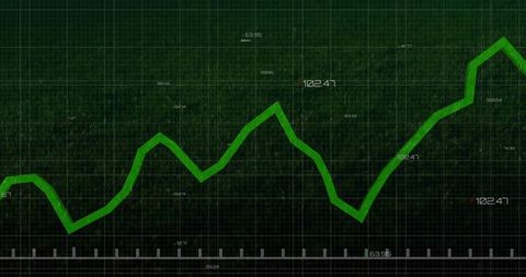 Dynamic Line Chart Representing Financial Data Growth