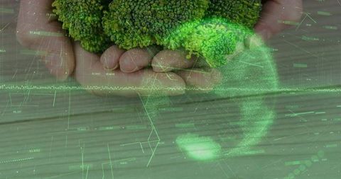 Cupped hands holding broccoli with neon green holographic globe overlay
