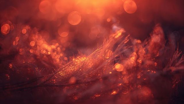 Amber dew bokeh on grass and pine needles glowing at sunrise macro abstract background