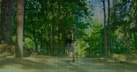 Hiker Enjoying Pine Forest Adventure with Backpack and Trekking Gear