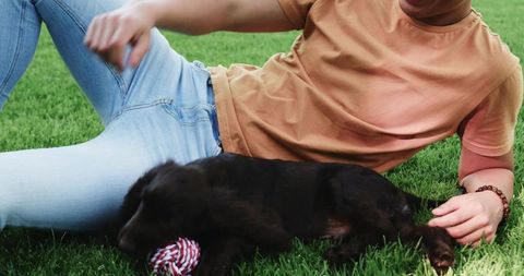 Man Relaxing on Lawn with Playful Puppy Outdoors Leisure Moment