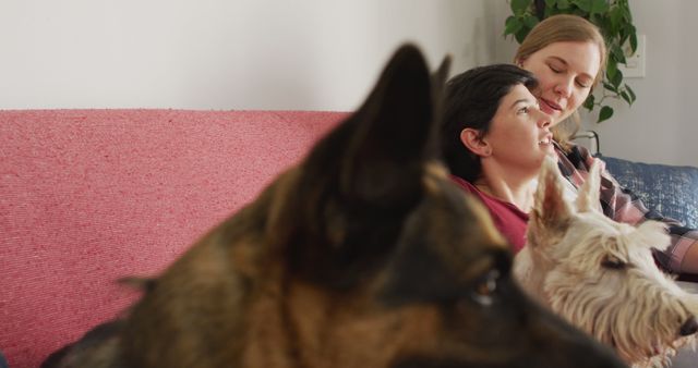 Happy Couple Relaxing on Couch with Pet Dogs - Download Free Stock Images Pikwizard.com