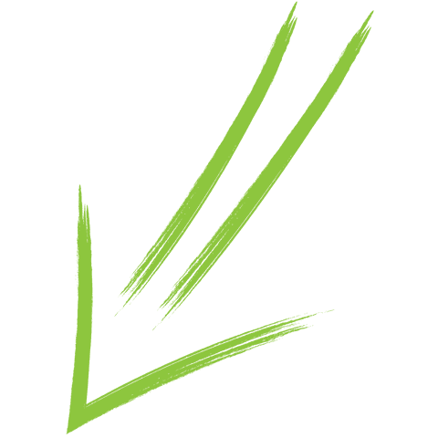green downward arrow on transparent background - Download Free Stock Videos Pikwizard.com