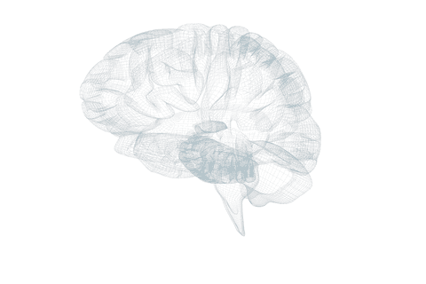 3d transparent blue wireframe human brain illustration - Download Free Stock Videos Pikwizard.com