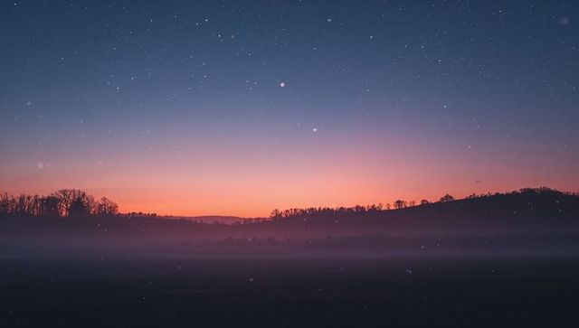 Dawn Gradient Filling Rural Horizon with Misty Meadow, Silhouetted Tree Line and Starry Twilight