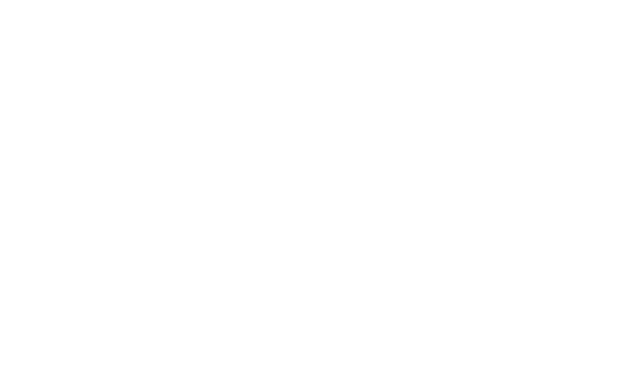 Transparent Silhouette of Woman Leaning on Exercise Ball - Download Free Stock Videos Pikwizard.com