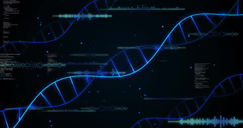 Digital DNA Strands with Data Overlay