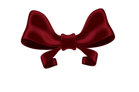 Red ribbon bow on transparent background for decoration