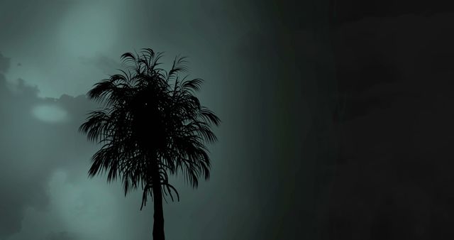 Beautiful artistic representation of a palm tree silhouette against a cloudy, aqua blue-toned night sky. Ideal for use in nature-themed blogs, travel websites, tropical vacation advertisements, or digital artworks providing a tranquil, moody, and atmospheric backdrop.