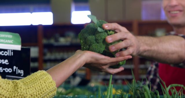 Shopper Receiving Broccoli from Farmer at Organic Market - Download Free Stock Images Pikwizard.com