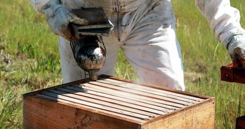 Beekeeper smoking bees in spring apiary landscape