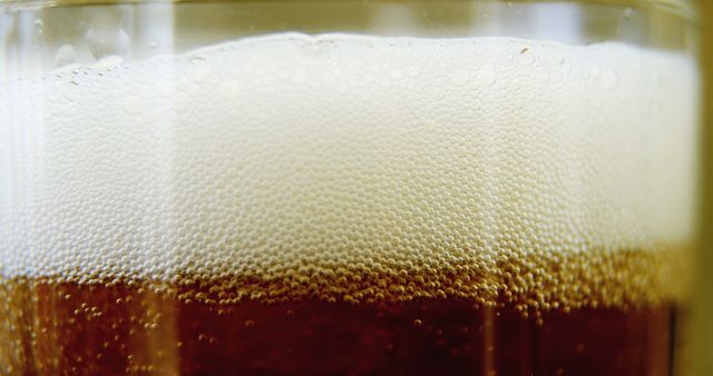 Close-up of Beer Foam and Bubbles in Glass - Download Free Stock Images Pikwizard.com