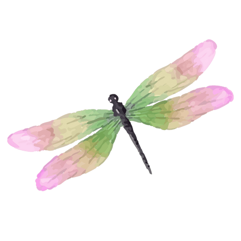Watercolor dragonfly on transparent canvas with pastel green-to-pink wings, design element
