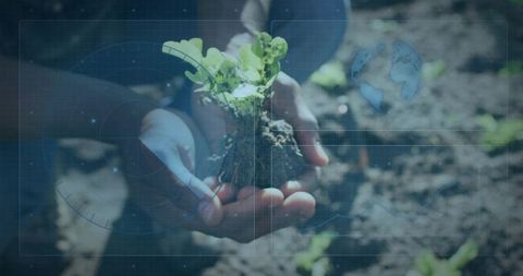 Cradling hands holding seedling and root ball over tilled soil with futuristic hud overlay