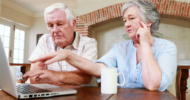Senior couple using laptop together at home