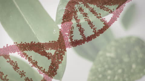 DNA Structure Overlay on Green Leaves for Medical Research Concept