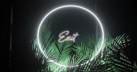 neon exit sign with tropical foliage transformation - Download Free Stock Images Pikwizard.com