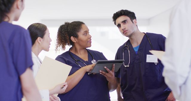 Image of diverse group of male and female doctors looking at tablet talking in hospital corridor - Download Free Stock Photos Pikwizard.com