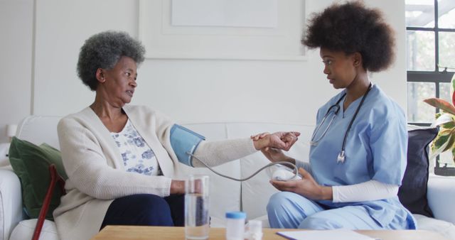 Young Nurse Measuring Blood Pressure of Elderly Patient at Home - Download Free Stock Images Pikwizard.com