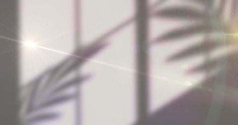 Abstract palm leaf shadow with radiant light effects