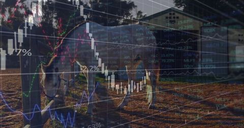 Candlestick chart overlay on pastoral scene with donkey in paddock