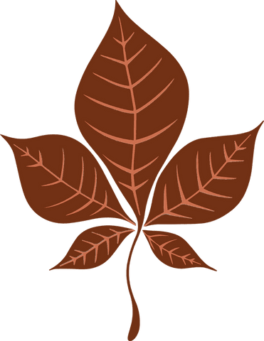 Brown botanical compound leaf on transparent background clipart