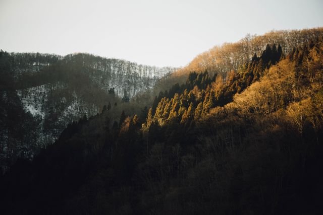Forest-covered mountain range touched by the soft light of sunset with trees showing signs of winter. This can be used for nature documentaries, environmental campaigns, travel, and adventure content. Perfect for showing beauty and tranquility of natural landscapes during sunset.