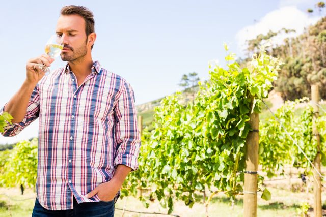 Man enjoying wine tasting experience in a lush vineyard on a sunny day. Ideal for use in advertisements for wineries, wine tours, lifestyle blogs, and promotional materials for wine-related events.