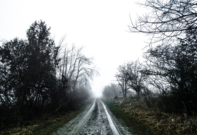 Depicts foggy dirt pathway with bare trees and bushes on either side during overcast day. Offers mysterious and moody ambiance, suitable for themes like solitude, travel, exploration, and nature's beauty. Ideal for use in websites, blogs, and articles focusing on nature, tranquility, or rural landscapes.