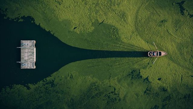 Aerial rowboat gliding through duckweed channel toward wooden dock with leading lines