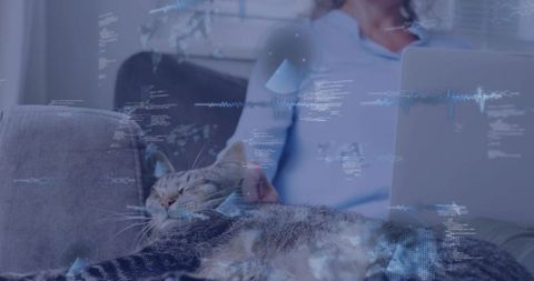 Tabby cat lounging on couch while woman working on laptop with futuristic data overlays