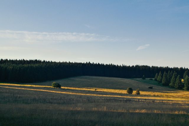 Ideal for illustrating rural lifestyle, nature conservation, outdoor activities, and landscape backgrounds. This scenic countryside image features an open field gently sloping towards a dense forest, evoking feelings of tranquility and stillness. Perfect for website banners, environmental projects, and travel brochures.