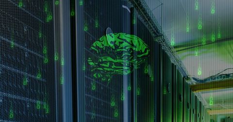 digital brain concept over a data server room - Download Free Stock Images Pikwizard.com