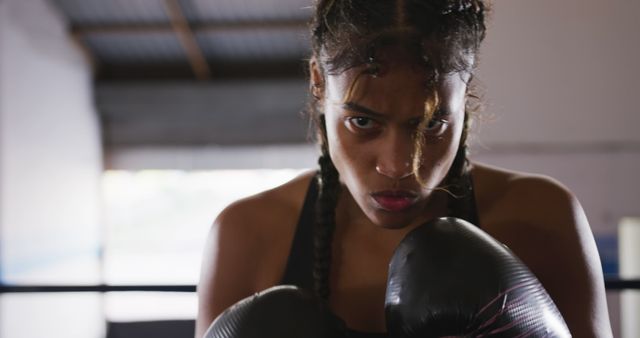Portrait of confident biracial female boxer with braids and raised boxing gloves, copy space. Confidence, boxing, sport, strength and competition, unaltered.