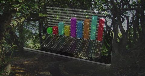 Data visualization over forest path illuminated by sunlight