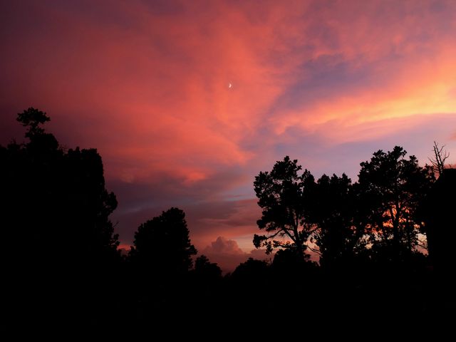 Majestic Sunset with Silhouetted Trees and Moon - Download Free Stock Photos Pikwizard.com