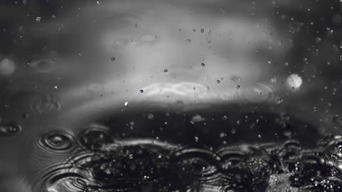 Lemon and Lime Splash Below Water Surface in Vivid Slow Motion