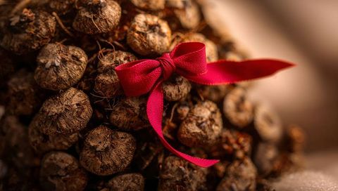 Red ribbon bow on rustic dried seed pods still life with warm bokeh and earthy texture