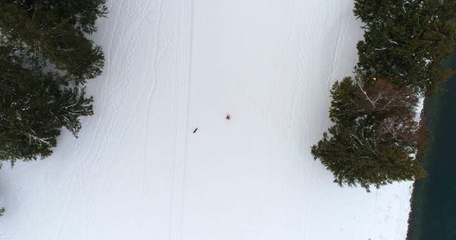 This overhead view captures a peaceful winter scene with a person and their dog walking across a snowy field surrounded by trees. Ideal for use in winter travel, outdoor recreation advertisements, or illustrating concepts of solitude and nature. Perfect for websites, magazines, or articles focusing on winter activities and landscapes.