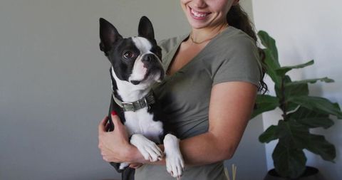 Smiling woman holding boston terrier with houseplant in background