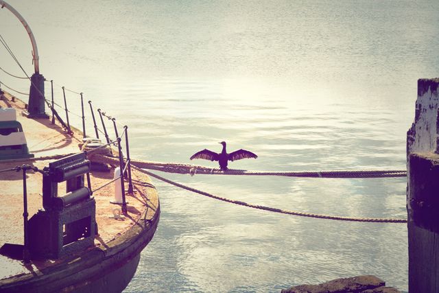 Black cormorant resting on a rope at a pier, wings spread to dry. Tranquil waterfront scene ideal for illustrating natural beauty, wildlife photography, calm and serene environments. Perfect for magazines, nature articles, and coastal travel promotions.