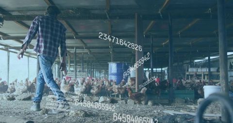Farm worker walking through poultry barn with chickens and digital data overlay, farm tech