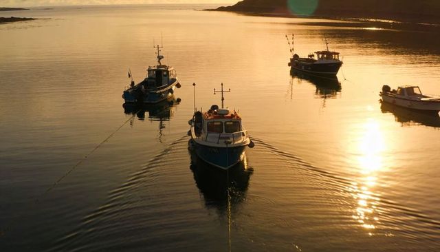 Gliding blue-and-white cabin boat creating v-shaped wake in tranquil golden-hour inlet