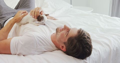 Man relaxing on bed with kitten illustrating pet bonding