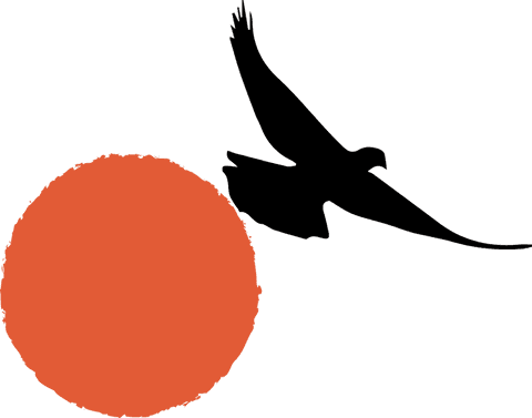 Bird silhouette soaring across red sun on transparent background